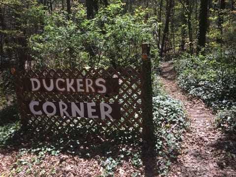 hiking trail  - trail is currently destroyed by Hurricane Helene, hope to reopen