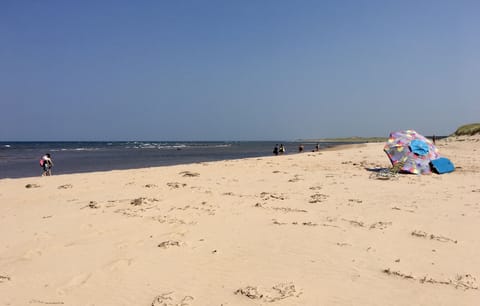 Sun loungers, beach towels