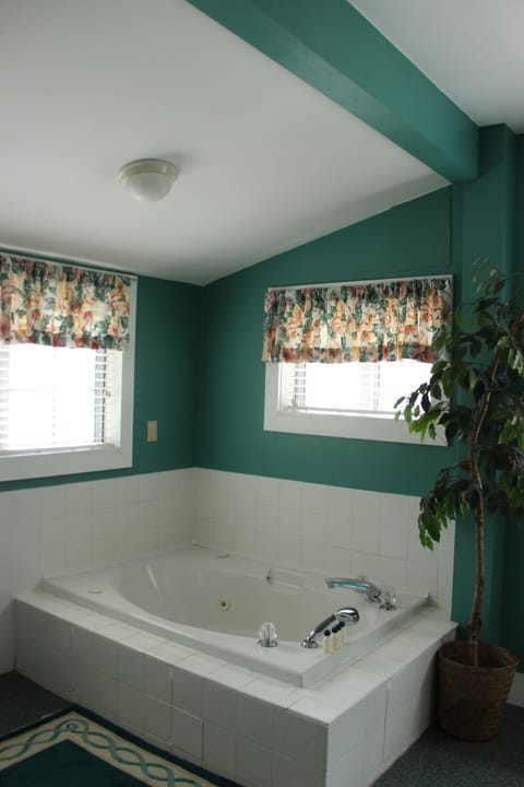 Combined shower/tub, jetted tub, hair dryer, towels