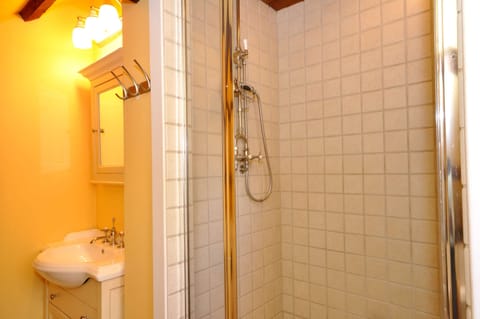 Shower, jetted tub, hair dryer, towels