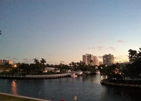 Approaching Night Skyline