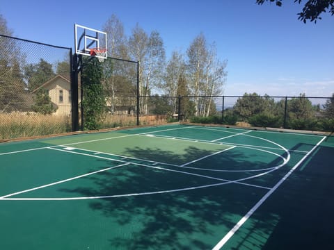 Sport court