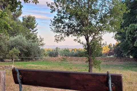 One of the many views from the garden, looking at the Massif des Maures