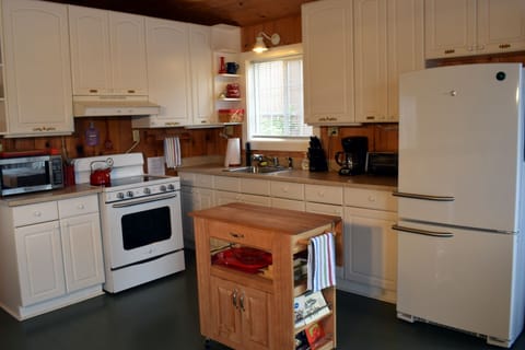 Kitchen - new refrigerator and stove May 2016