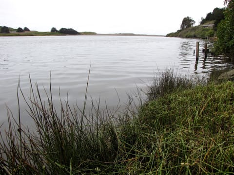 Goat Rock State beach is just a 10 minute paddle away!