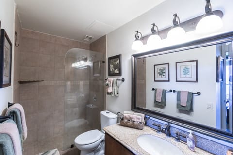 Combined shower/tub, hair dryer, towels, soap