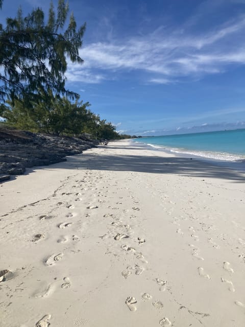 On the beach, sun loungers, beach towels