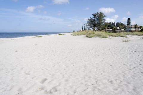 Sun loungers, beach towels