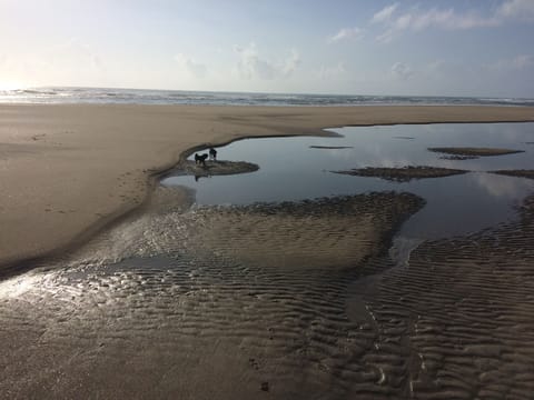 On the beach