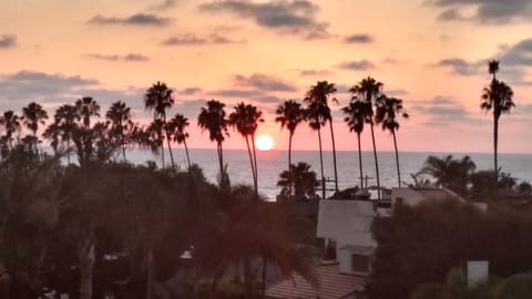 Sunset from the Roof Top Deck!