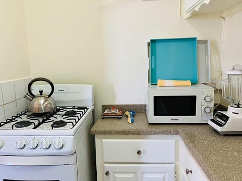 Fridge, oven, stovetop, cookware/dishes/utensils