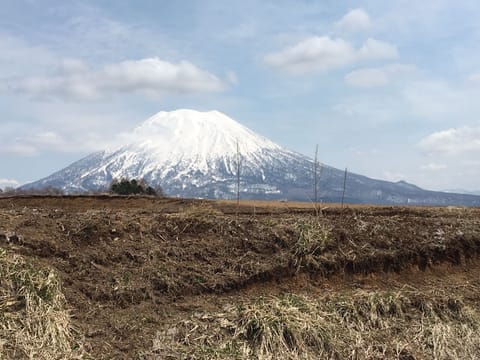 View of Mount Yotei from nearby field