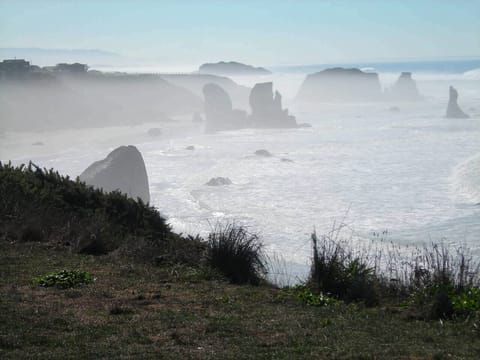 A misty morning walk