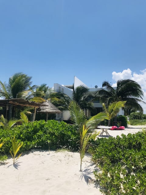 On the beach, sun loungers, beach towels