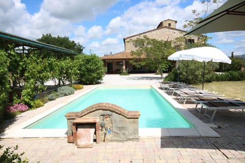 Pool with 8 beach chairs and 3 umbrellas.