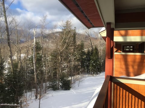 Deck looking right - winter 2018