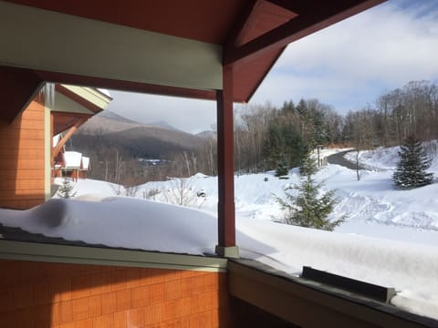 Front door view - winter 2018 - u can ski down to lift or back via Escape route 