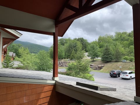Mountain view from the front door - spring 2021