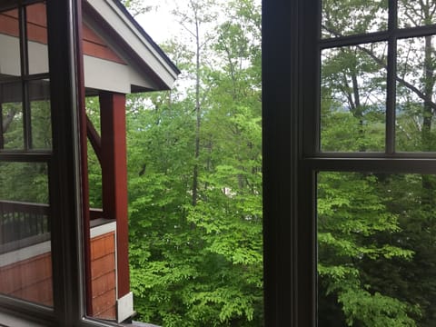 Dining room river "view" - spring 2018