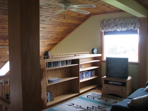 Smart TV, fireplace, DVD player, books