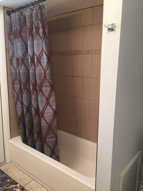 Combined shower/tub, hair dryer, towels