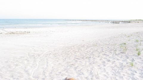 Beach nearby, sun loungers