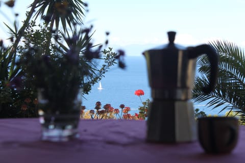 morning coffee, view from terrace