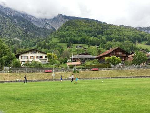 Public sports field, south of the chalet (chalet in background, on the right).