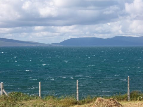 Island from backyard