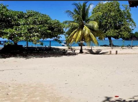 Sun loungers, beach towels