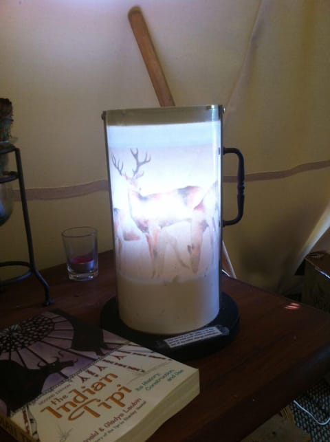 Solar powered lamp with custom made 'reverse painted' shade.  Equal to 40 watts.