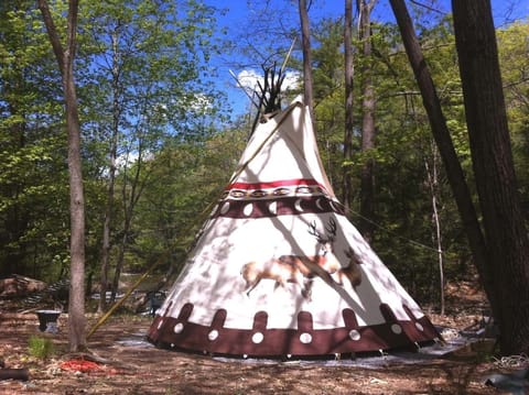 Tipi cover up, May 5th 2013 