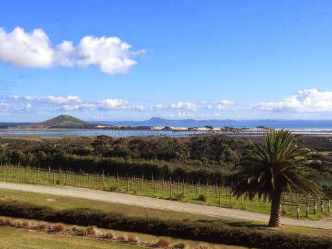 The Carrington Winery - fantastic panoramic views and good wine / food