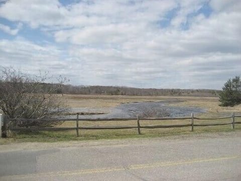 View from the street side of Rachel Carson preserve, kayaking anyone?