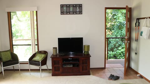 LCD TV, DVD player, books, video library