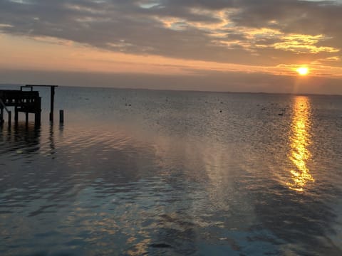 Beach nearby, sun loungers