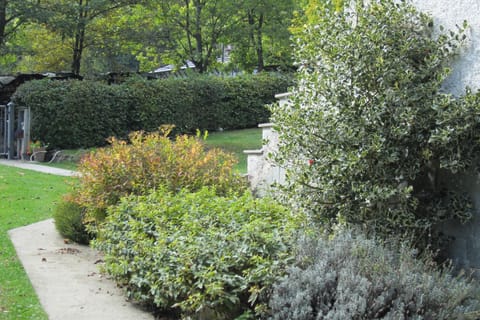 on the way out, our garden