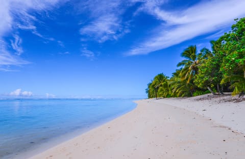 Sun loungers, beach towels