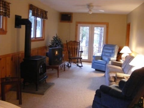 TV, fireplace, books