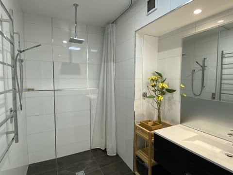 Combined shower/tub, hair dryer, towels, soap