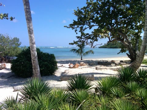 On the beach, sun loungers, beach towels