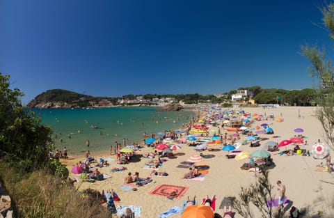 Beach nearby, beach towels