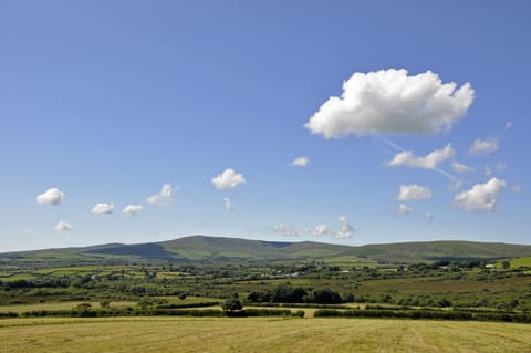 Our local hills, the Preselis