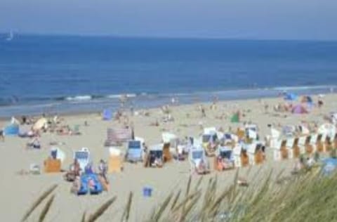 Sun loungers, beach towels