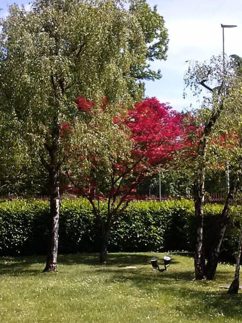 Outside - shared garden