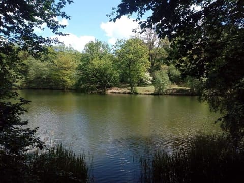 Cannop ponds - a beautiful place to have a picnic