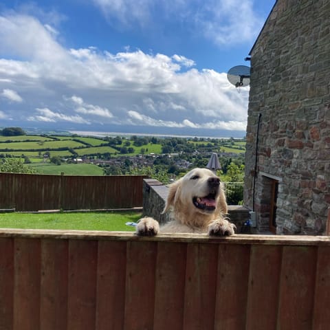 We welcome up to two dogs with no extra fee. Canine guests can enjoy the lawn where they can play in an enclosed area or sunbathe on the patio. There are scenic walks from the door.