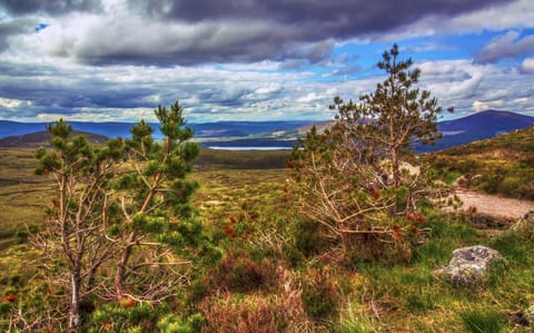 Cairngorms national park