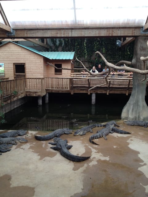 Alligator Bay, 45 mins from house