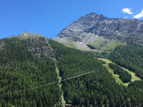 View towards Plattjen in the summer